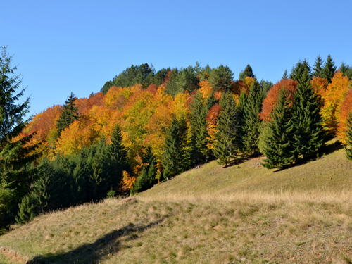 Foto La SV de Piatra Pintiu (c) Lucian Petru Goja